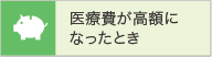 医療費が高額になったとき